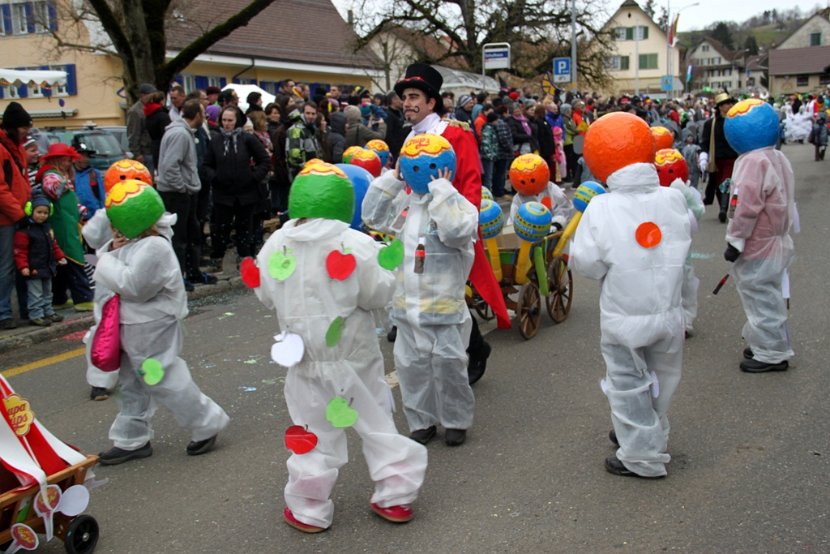 Sarmenstorf Fasnachtsumzug 16.02.2014 (10)